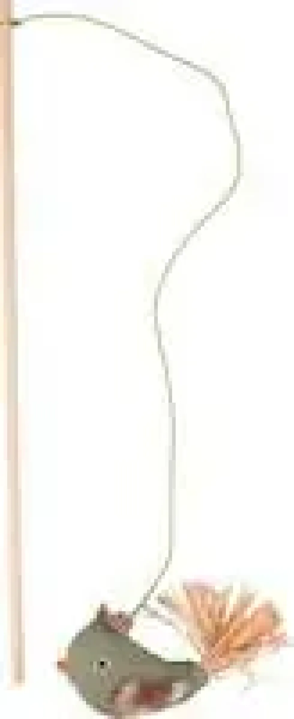 Jouet pour chat Canne à pêche avec oiseaux Flamingo Natura Delight - 45 cm