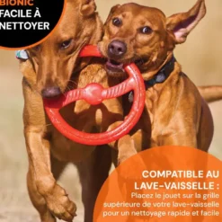 Jouet pour chien en caoutchouc coloris orange anneau Bionic Toss-N-Tug