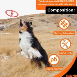 Jouet pour chien en caoutchouc coloris orange anneau Bionic Toss-N-Tug
