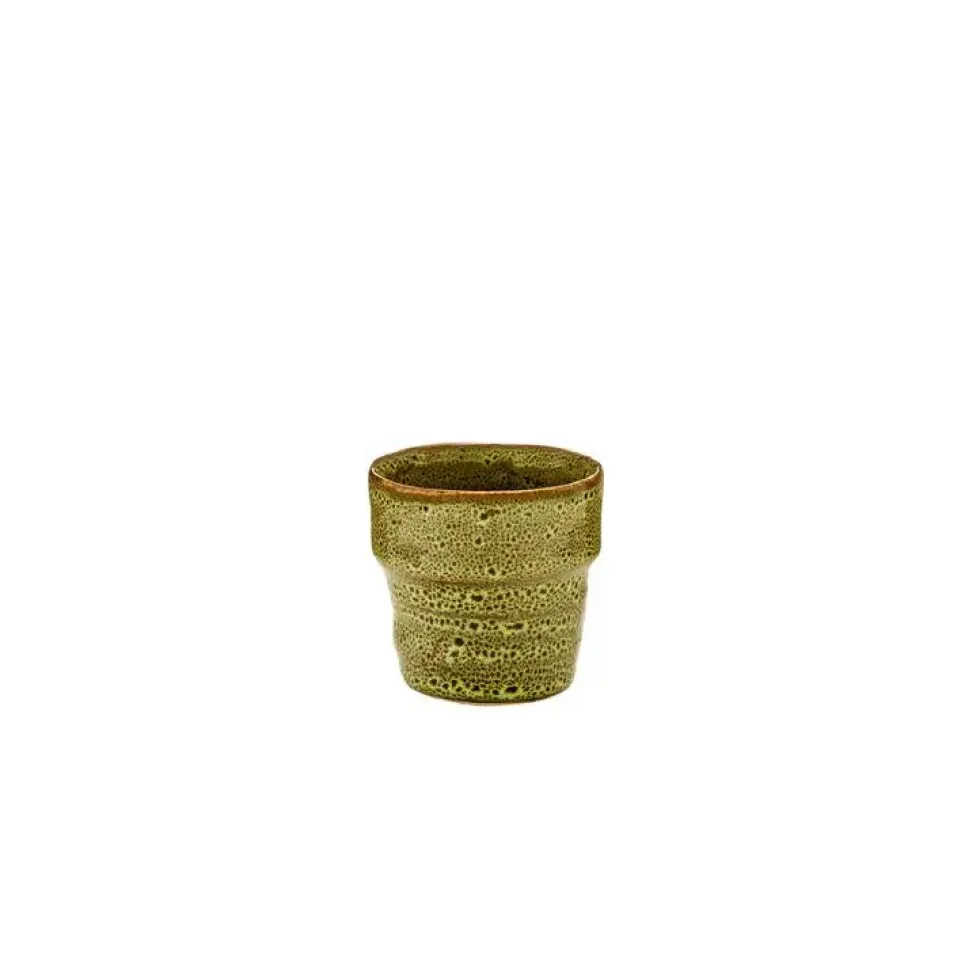 Kalanchoé Rosalina avec cache-pot Ø 6 cm