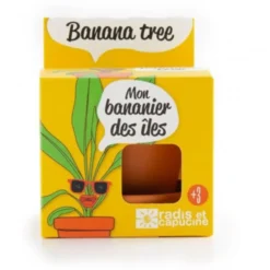 Kit bananier à faire pousser en pot Radis et Capucine - Ø 8 cm