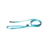 Laisse chien nylon 10 mm / 120 cm bleu