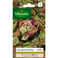 Laitue Brune d'Hiver Vilmorin - graines à semer