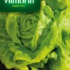 Laitue Gotte Jaune d'Or Vilmorin - graines à semer