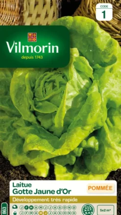 Laitue Gotte Jaune d'Or Vilmorin - graines à semer