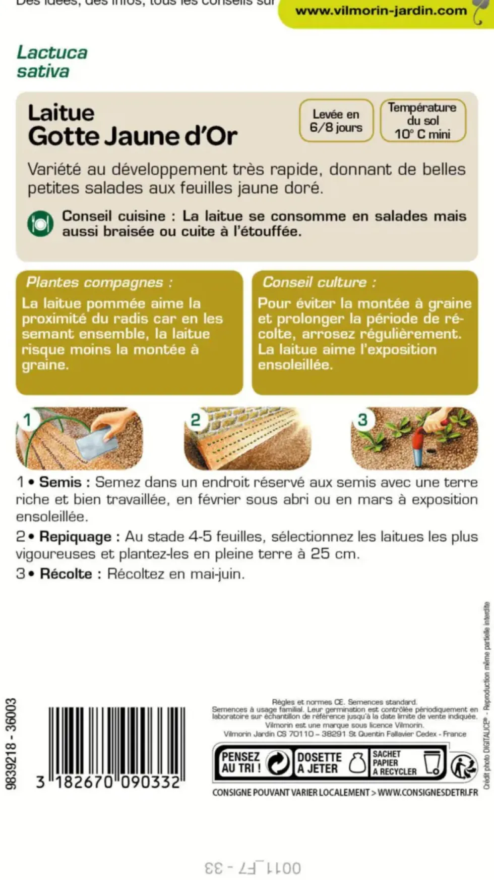 Laitue Gotte Jaune d'Or Vilmorin - graines à semer