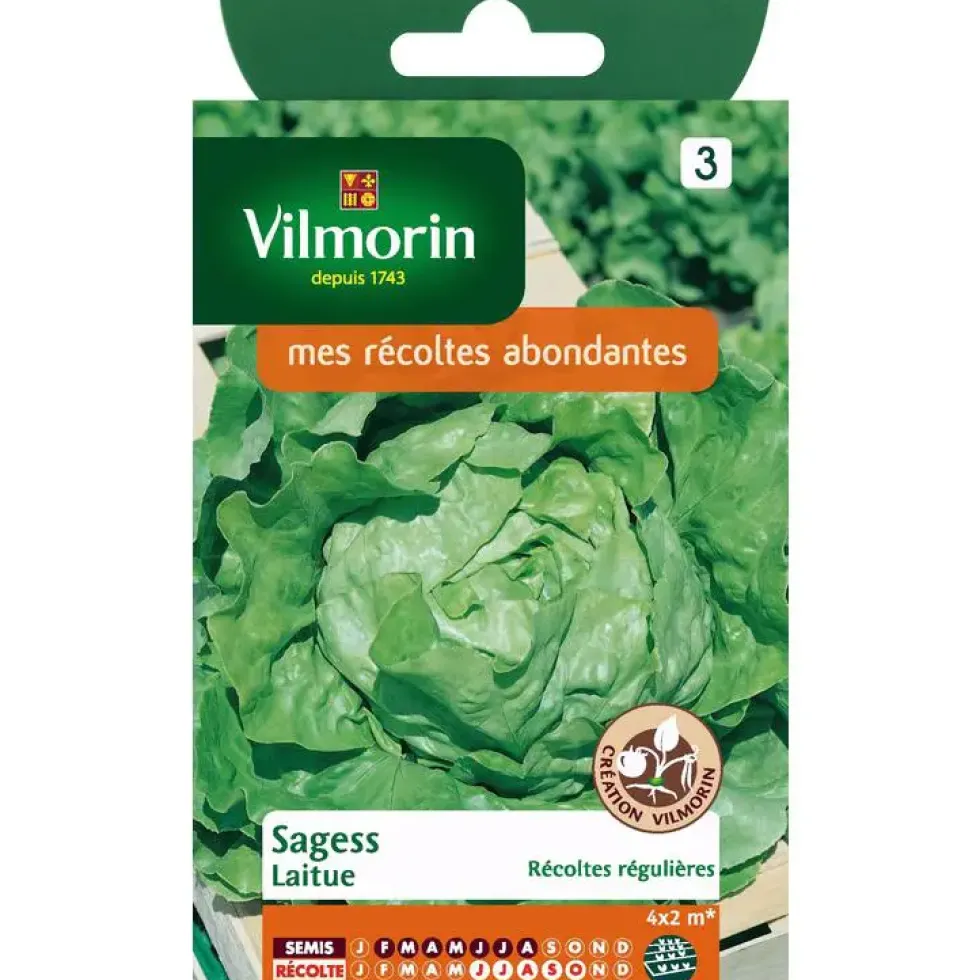 Laitue Sagess Vilmorin - graines à semer