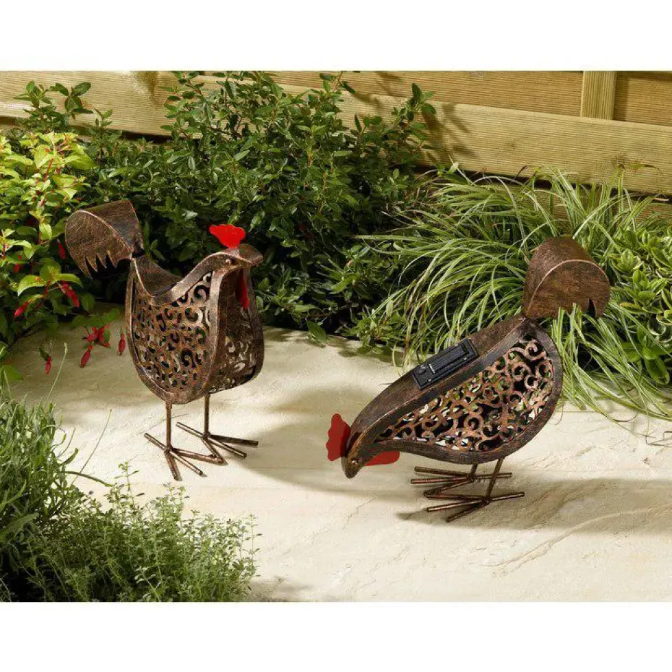 Lampe Solaire Poule