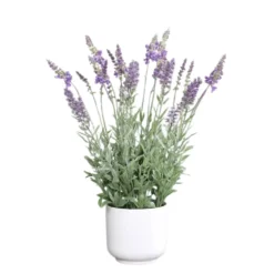 Lavande artificielle violette en pot blanc - 47 cm