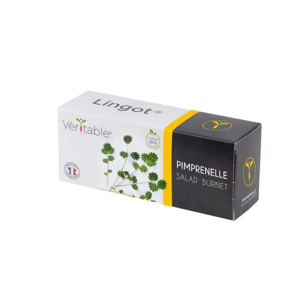 Lingot® Pimprenelle bio Véritable®