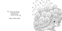 Livre de coloriage 