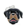 Médaille colors pour rottweiler adulte en métal