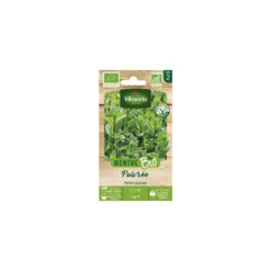 Menthe Poivrée Bio Vilmorin - graines à semer