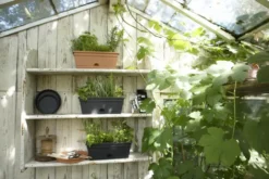 Mini Jardinière 30cm Green Basics Elho noir