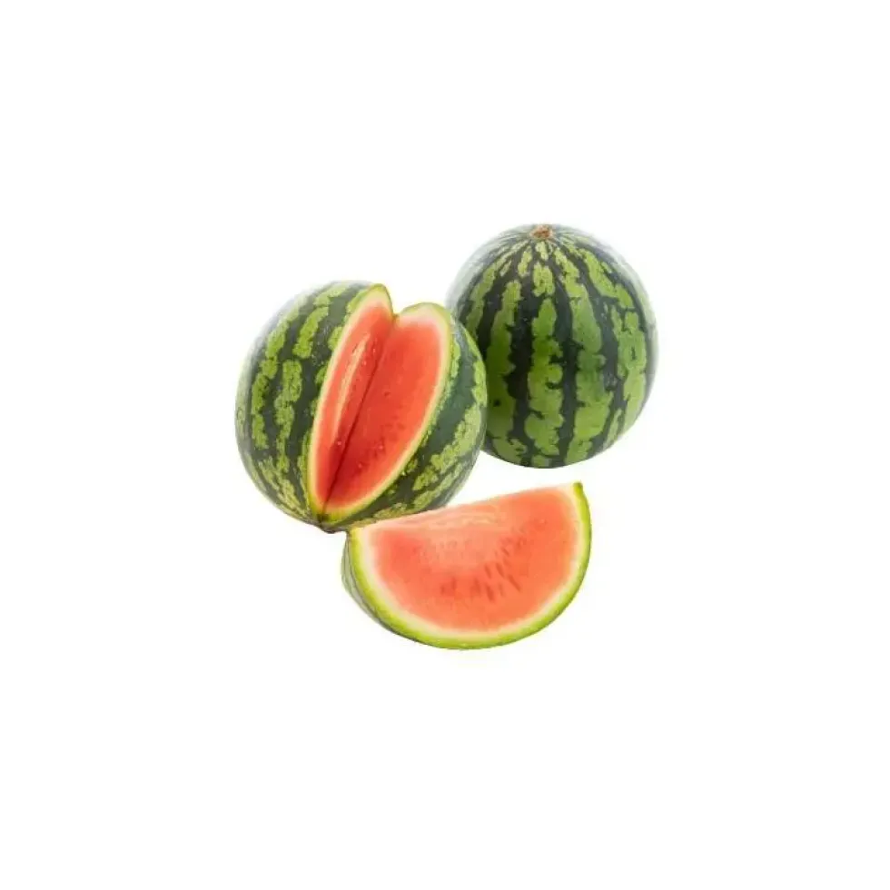 Mini Pastèque bio de France ou Espagne - Prix au kg