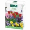 Mélange balcon et terrasse botanic® - 40 bulbes