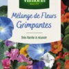 Mélange de fleurs grimpantes Vilmorin - graines à semer pour 4 m² de surface