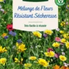Mélange de fleurs 50 m² pour terrain sec coloris multicolore Vilmorin jardin - 11,5 x 4,35 x 19 cm