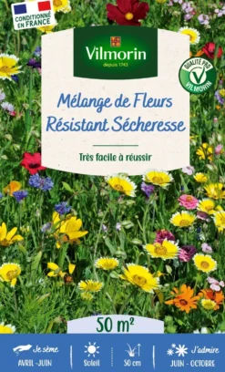 Mélange de fleurs 50 m² pour terrain sec coloris multicolore Vilmorin jardin - 11,5 x 4,35 x 19 cm