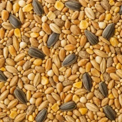 Mélange de graines pour oiseaux Grain de Vie - 10 kg