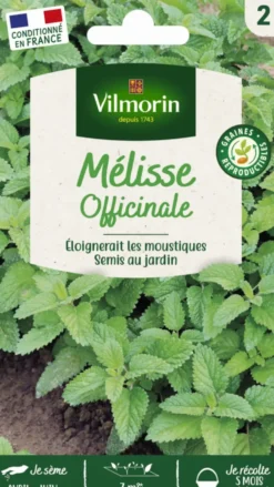 Mélisse officinale Vilmorin - graines à semer