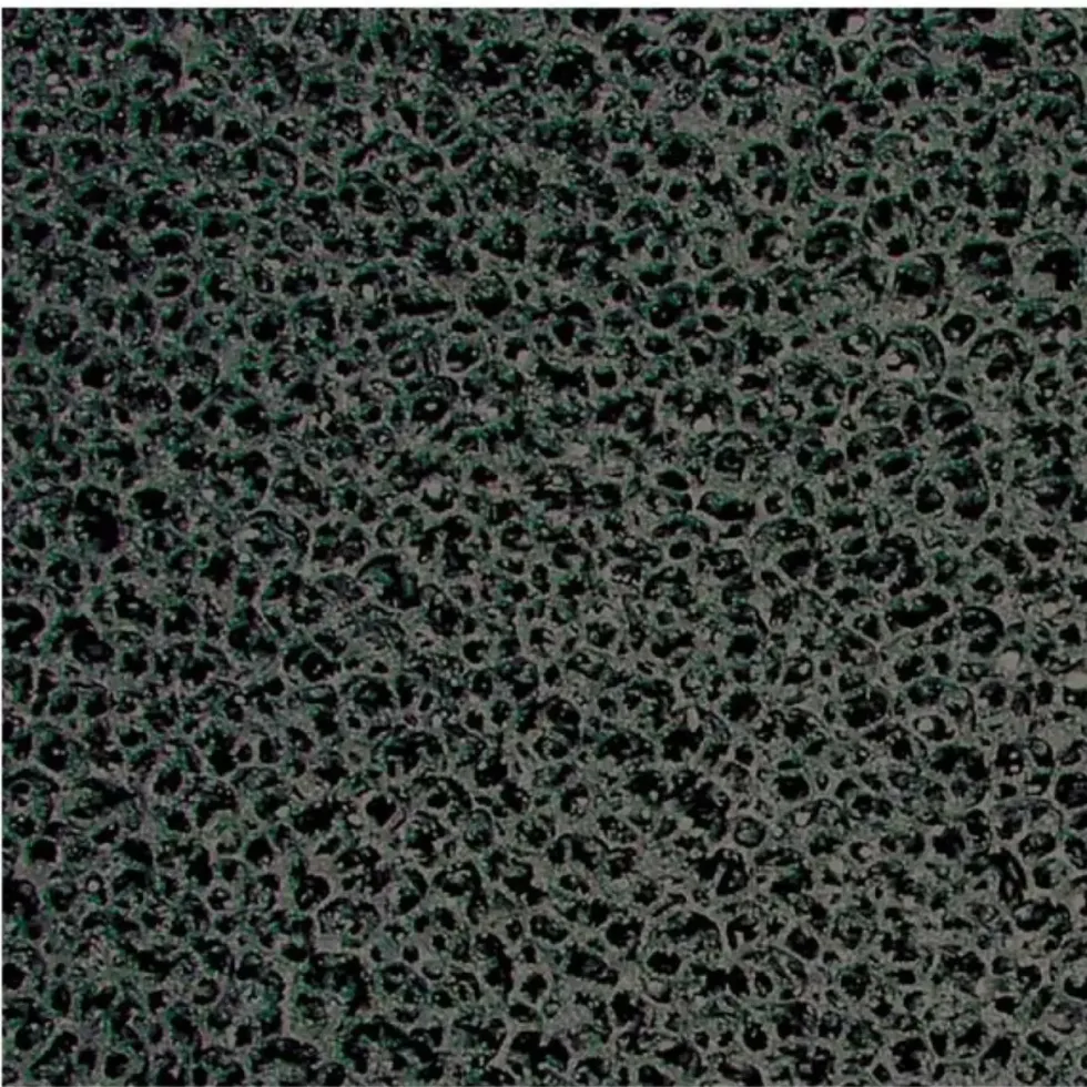 Mousse de charbon EHEIM BASSIN RefineCoal - compatible Filtre Press 7000/10000