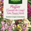 Muflier Gueule de loup Tom Pouce Varié Vilmorin - graines à semer