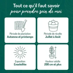 Murier Dirksen Bio. Le pot de 2 litres
