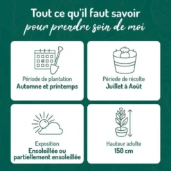 Myrtille Elisabeth Bio. Le pot de 2 litres