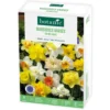 Narcisse en mélange botanic® - 15 bulbes