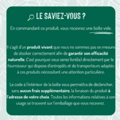 Nématodes traitement biologique contre les fourmis