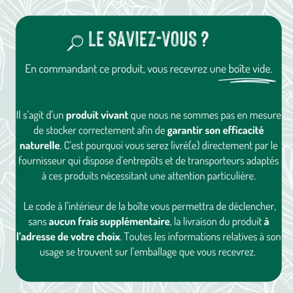 Nématodes traitement biologique contre les fourmis