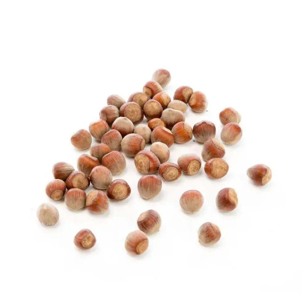 Noisette bio de France - Prix au kg