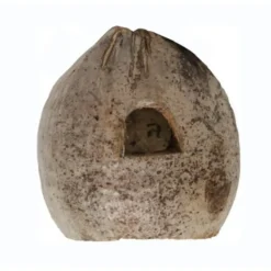 Noix de coco pour terrarium coloris marron Reptile Planet Coco Home