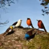 Oiseau métal peint main