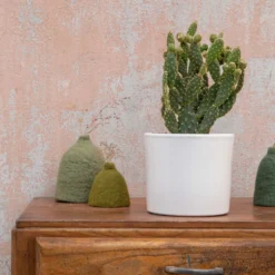 Opuntia mix en pot blanc émaillé Ø 20 cm