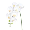 Orchidée Phalaenopsis artificielle à 7 fleurs crème - 38 cm