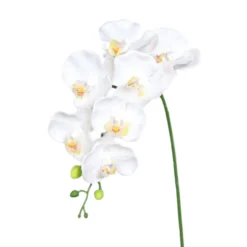 Orchidée Phalaenopsis artificielle à 7 fleurs crème - 38 cm