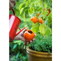 OYAS à planter émaillée Orange