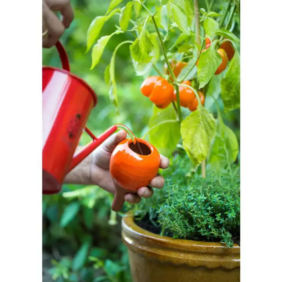 OYAS à planter émaillée Orange