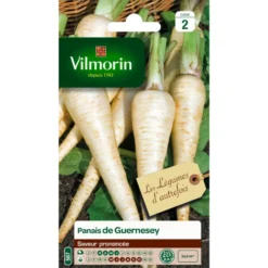 Panais de guernesey Vilmorin - graines à semer