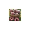 Pecher Sanguine De Savoie. En racine nue, forme gobelet