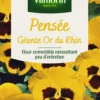 Pensée Géante Or du Rhin Vilmorin - graines à semer