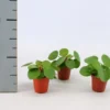 Pilea Peperomioides. Le pot de Ø 6 cm