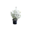 Pin floqué décoré - Le pot de 10,5 cm