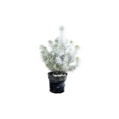 Pin floqué décoré - Le pot de 10,5 cm