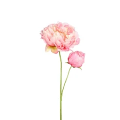 Pivoine artificielle rose clair avec 1 fleur et 1 bouton - 67 cm