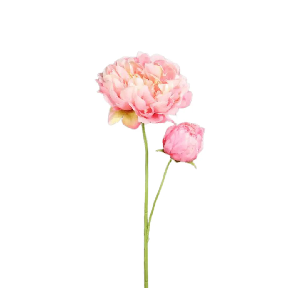Pivoine artificielle rose clair avec 1 fleur et 1 bouton - 67 cm