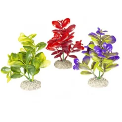 Plante artificielle crassula, divers coloris, AQUA DELLA, modèle M - 16cm