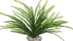 Plante artificielle pour aquarium coloris vert LABEO Elodea Corolle